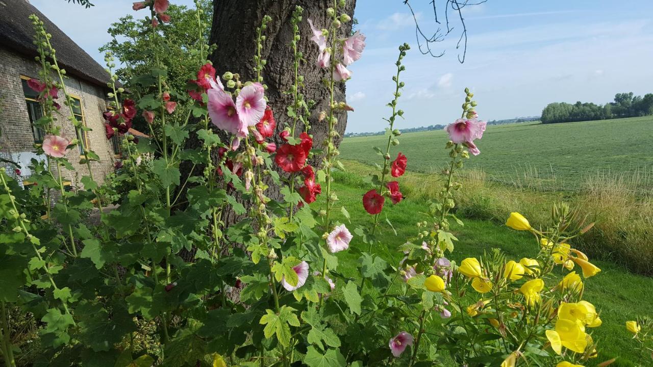 Schipluiden B&B Rechthuis Van Zouteveen מראה חיצוני תמונה